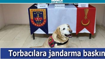TORBACILARA JANDARMA BASKINI!