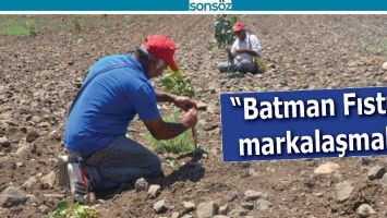 &ldquo;BATMAN FISTIĞI MARKALAŞMALI&rdquo;