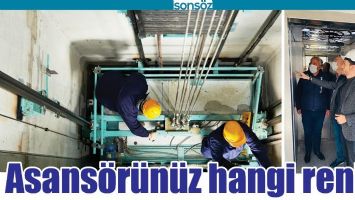 ASANS&Ouml;R&Uuml;N&Uuml;Z HANGİ RENK?