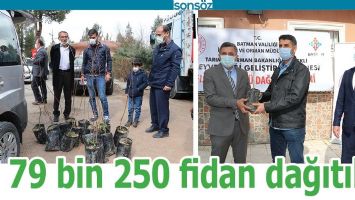 79 BİN 250 FİDAN DAĞITILDI