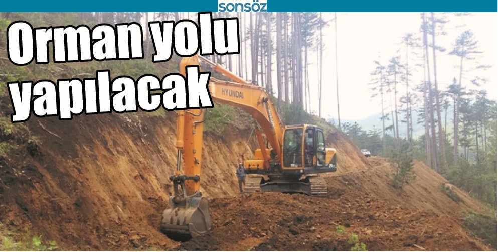 ORMAN YOLU YAPILACAK