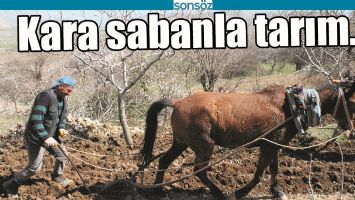 KARA SABANLA TARIM&hellip;