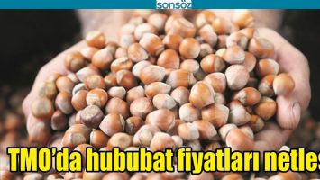 TMO&rsquo;DA HUBUBAT FİYATLARI NETLEŞTİ