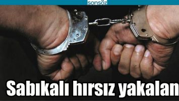 BATMAN'DA SABIKALI HIRSIZ YAKALANDI