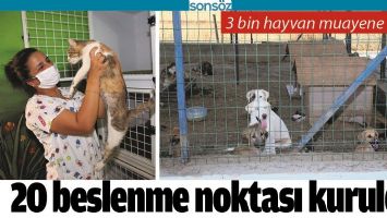 20 BESLENME NOKTASI KURULDU