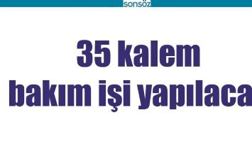 35 KALEM BAKIM İŞİ YAPILACAK