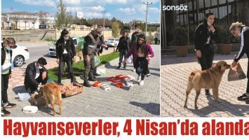 HAYVANSEVERLER, 4 NİSAN&rsquo;DA ALANDAYDI