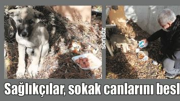 SAĞLIK&Ccedil;ILAR, SOKAK CANLARINI BESLEDİ