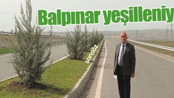 BALPINAR YEŞİLLENİYOR