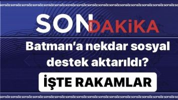 Batman&rsquo;a ne kadar sosyal destek aktarıldı?