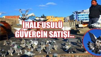 İHALE USUL&Uuml; G&Uuml;VERCİN SATIŞI...