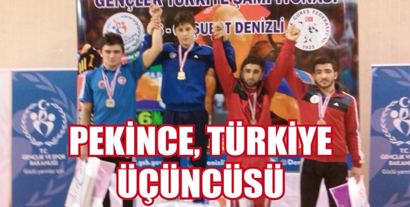PEKİNCE, T&Uuml;RKİYE &Uuml;&Ccedil;&Uuml;NC&Uuml;S&Uuml;