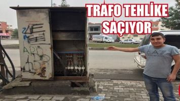 TRAFO, KEDİNİN &Ouml;L&Uuml;M&Uuml;NE NEDEN OLDU