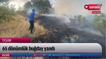 65 d&ouml;n&uuml;ml&uuml;k buğday yandı