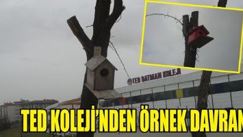 TED KOLEJİ&rsquo;NDEN &Ouml;RNEK DAVRANIŞ