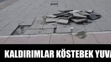 KALDIRIMLAR  K&Ouml;STEBEK YUVASI