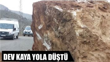 DEV KAYA YOLA D&Uuml;ŞT&Uuml;