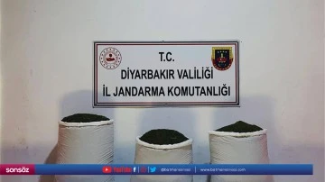 67 kilogram toz esrar ele ge&ccedil;irildi