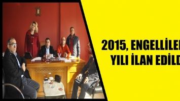 2015, ENGELLİLERİN YILI İLAN EDİLDİ