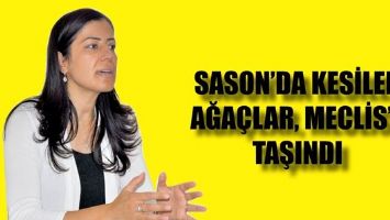 SASON&rsquo;DA KESİLEN AĞA&Ccedil;LAR, MECLİS&rsquo;E TAŞINDI