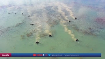 68 yaşındaki kişinin cesedi Dicle Nehri'nde bulundu