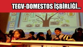TEGV-DOMESTOS İŞBİRLİĞİ...