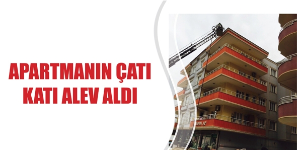 APARTMANIN &Ccedil;ATI KATI ALEV ALDI