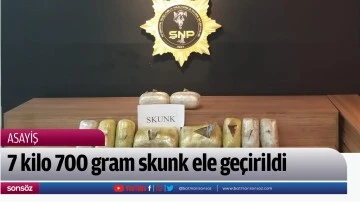 7 kilo 700 gram skunk ele ge&ccedil;irildi