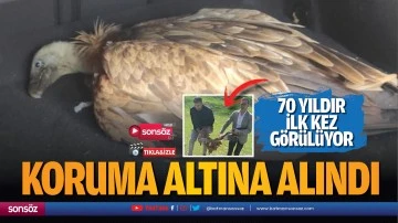 70 yıldır ilk kez g&ouml;r&uuml;l&uuml;yor
