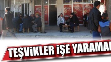 TEŞVİKLER İŞE YARAMADI