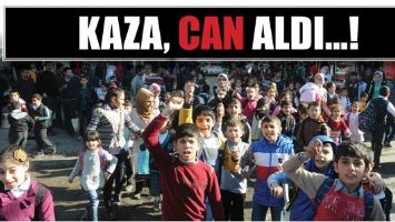 KAZA, CAN ALDI...!
