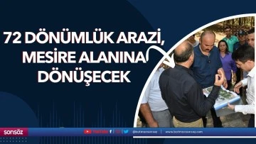 72 d&ouml;n&uuml;ml&uuml;k arazi, mesire alanına d&ouml;n&uuml;şecek