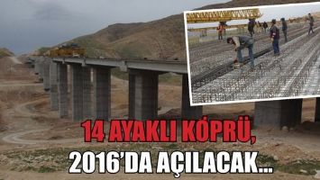 14 AYAKLI K&Ouml;PR&Uuml;, 2016&rsquo;DA A&Ccedil;ILACAK...