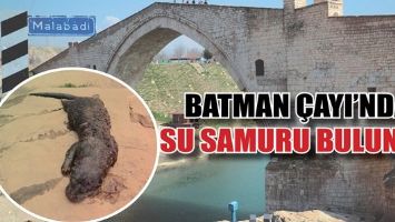 BATMAN &Ccedil;AYI&rsquo;NDA SU SAMURU BULUNDU