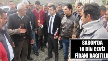 SASON&rsquo;DA 10 BİN CEVİZ FİDANI DAĞITILDI