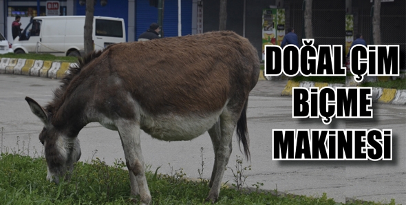 DOĞAL &Ccedil;İM Bİ&Ccedil;ME MAKİNESİ...
