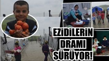 EZİDİLERİN DRAMI S&Uuml;R&Uuml;YOR!...