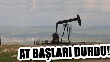 AT BAŞLARI DURDU!
