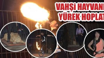 VAHŞİ HAYVANLAR Y&Uuml;REK HOPLATIYOR