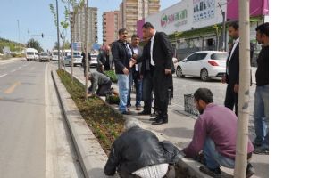 KENT, KADİFELERLE S&Uuml;SLENECEK