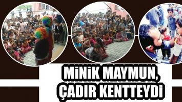 MİNİK MAYMUN, &Ccedil;ADIR KENTTEYDİ