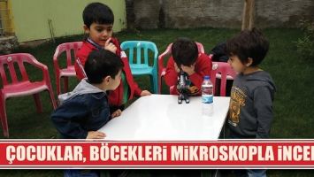 &Ccedil;OCUKLAR, B&Ouml;CEKLERİ MİKROSKOPLA İNCELEDİ