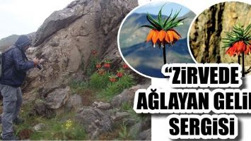 &ldquo;ZİRVEDE AĞLAYAN GELİN&rdquo; SERGİSİ