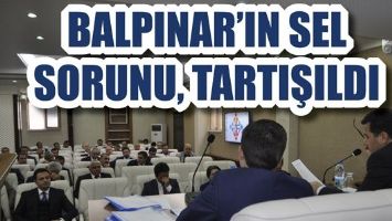 BALPINAR&rsquo;IN SEL SORUNU, TARTIŞILDI