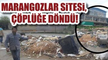 MARANGOZLAR SİTESİ, &Ccedil;&Ouml;PL&Uuml;ĞE D&Ouml;ND&Uuml;!