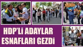 HDP&rsquo;Lİ ADAYLAR ESNAFLARI GEZDİ