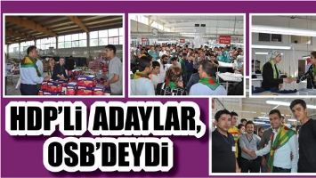 HDP&rsquo;Lİ ADAYLAR, OSB&rsquo;DEYDİ...