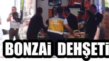 BONZAİ DEHŞETİ!