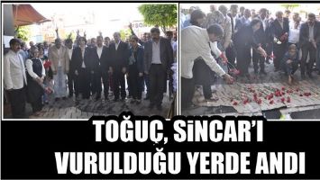 TOĞU&Ccedil;, SİNCAR&rsquo;I VURULDUĞU YERDE ANDI