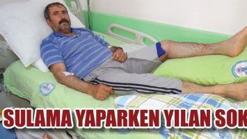 TARLADA SULAMA YAPARKEN YILAN SOKTU
